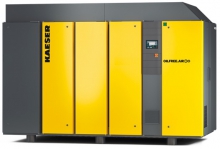 Винтовой компрессор Kaeser DSG 290-2 8 RD