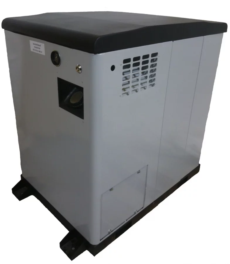 Газовый генератор REG ARCTIC GG14-230 S с АВР