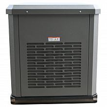 Генератор газовый EVOline GNG 13500 E — фото 3